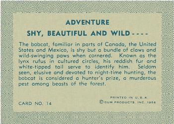 1956 Gum Inc. Adventure (R749) #14 Shy, Beautiful and Wild .... Back