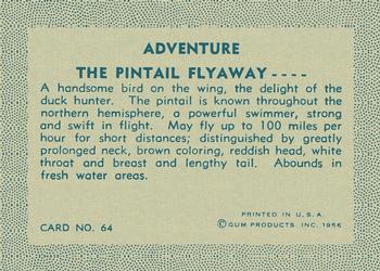 1956 Gum Inc. Adventure (R749) #64 The Pintail Flyaway .... Back