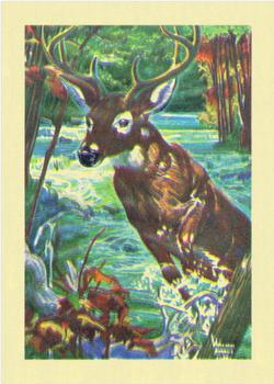 1956 Gum Inc. Adventure (R749) #65 A Hunter's Dream Come True .... Front