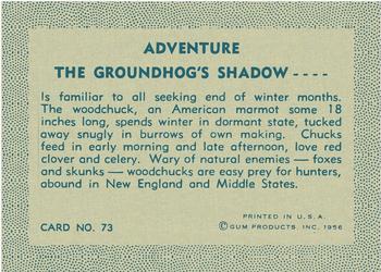 1956 Gum Inc. Adventure (R749) #73 The Groundhog's Shadow .... Back