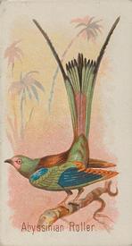 1890 Allen & Ginter Song Birds of the World (N23) #NNO Abyssinian Roller Front