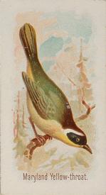 1890 Allen & Ginter Song Birds of the World (N23) #NNO Maryland Yellow-throat Front