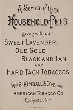 1891 W.S. Kimball & Co. Household Pets (N194) #NNO Charlie's Pet Back