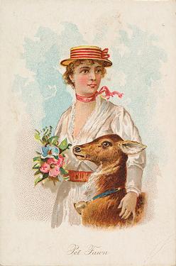 1891 W.S. Kimball & Co. Household Pets (N194) #NNO Pet Fawn Front