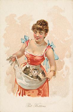 1891 W.S. Kimball & Co. Household Pets (N194) #NNO Pet Kittens Front
