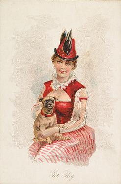 1891 W.S. Kimball & Co. Household Pets (N194) #NNO Pet Pug Front