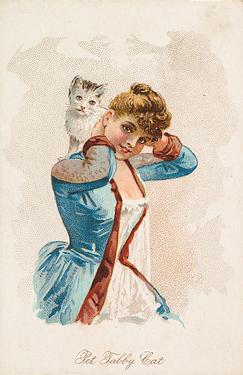1891 W.S. Kimball & Co. Household Pets (N194) #NNO Pet Tabby Cat Front