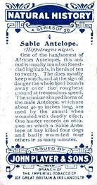 1924 Player's Natural History (Small) #4 Sable Antelope Back
