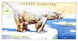 1924 Player's Natural History (Small) #7 Polar Bear Front