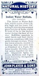 1924 Player's Natural History (Small) #9 Indian Water Buffalo Back