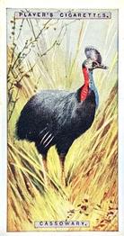 1924 Player's Natural History (Small) #12 Cassowary Front