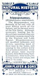 1924 Player's Natural History (Small) #23 Hippopotamus Back