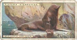 1924 Player's Natural History (Small) #28 Steller's Sea Lion Front