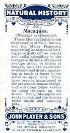 1924 Player's Natural History (Small) #32 Macaques Back