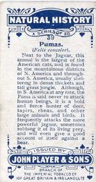1924 Player's Natural History (Small) #39 Pumas Back