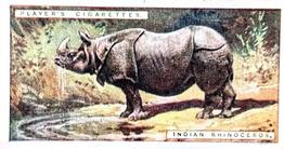 1924 Player's Natural History (Small) #41 Indian Rhinoceros Front