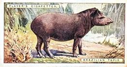 1924 Player's Natural History (Small) #43 Brazilian Tapir Front
