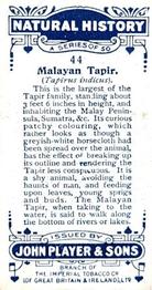1924 Player's Natural History (Small) #44 Malayan Tapir Back