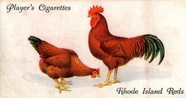1931 Player's Poultry #38 Rhode Island Reds Front