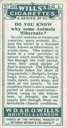 1922 Wills's Do You Know #3 Animals that Hibernate Back