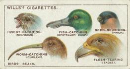 1922 Wills's Do You Know #7 Bird's Beaks Front