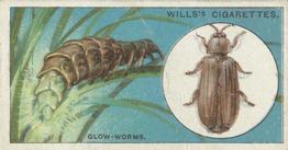 1922 Wills's Do You Know #21 Glow-Worms Front