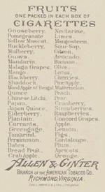 1891 Allen & Ginter Fruits (N12) #NNO Cherries Back