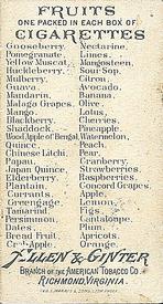 1891 Allen & Ginter Fruits (N12) #NNO Huckleberry Back