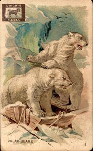 1898 Dwight's Soda Interesting Animals (J10) #1 Polar Bear Front