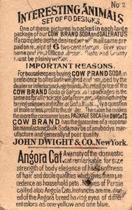 1898 Dwight's Soda Interesting Animals (J10) #2 Angora Cat Back