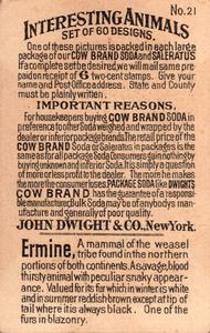 1898 Dwight's Soda Interesting Animals (J10) #21 Ermine Back