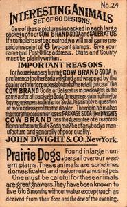 1898 Dwight's Soda Interesting Animals (J10) #24 Prairie Dogs Back
