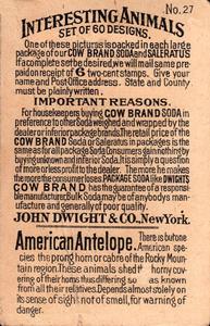 1898 Dwight's Soda Interesting Animals (J10) #27 American Antelope Back