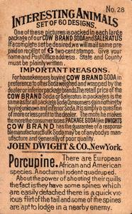 1898 Dwight's Soda Interesting Animals (J10) #28 Porcupine Back