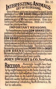 1898 Dwight's Soda Interesting Animals (J10) #35 Raccoon Back