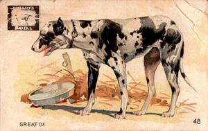 1898 Dwight's Soda Interesting Animals (J10) #48 Great Dane Front