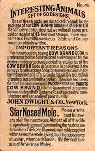1898 Dwight's Soda Interesting Animals (J10) #49 Star-nosed Mole Back