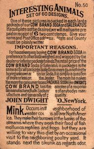 1898 Dwight's Soda Interesting Animals (J10) #50 Mink Back