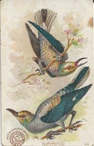 1898 Church & Co. Beautiful Birds (J2 Large) #44 Nutcracker Front