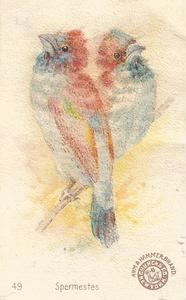 1898 Church & Co. Beautiful Birds (J2 Large) #49 Spermestes Front