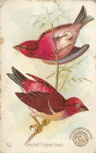 1898 Church & Co. Beautiful Birds (J2 Large) #52 Crested Purple Finch Front