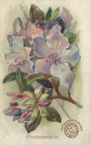 1895 Arm & Hammer Beautiful Flowers (J16 Large) #1 Rhododendron Front