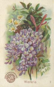 1895 Arm & Hammer Beautiful Flowers (J16 Large) #2 Wisteria Front