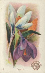 1895 Arm & Hammer Beautiful Flowers (J16 Large) #6 Crocus Front