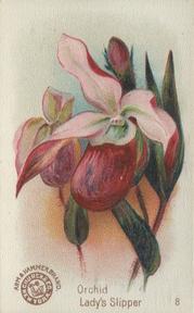 1895 Arm & Hammer Beautiful Flowers (J16 Large) #8 Orchid, Lady's Slipper Front