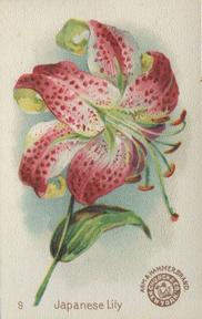 1895 Arm & Hammer Beautiful Flowers (J16 Large) #9 Japanese Lily Front