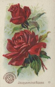 1895 Arm & Hammer Beautiful Flowers (J16 Large) #10 Jacqueminot Roses Front