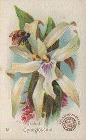 1895 Arm & Hammer Beautiful Flowers (J16 Large) #13 Orchid, Cynoglossum Front