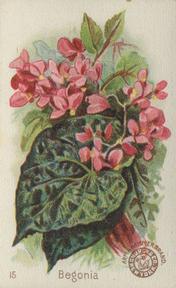 1895 Arm & Hammer Beautiful Flowers (J16 Large) #15 Begonia Front