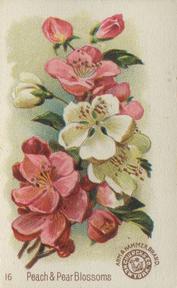 1895 Arm & Hammer Beautiful Flowers (J16 Large) #16 Peach & Pear Blossoms Front